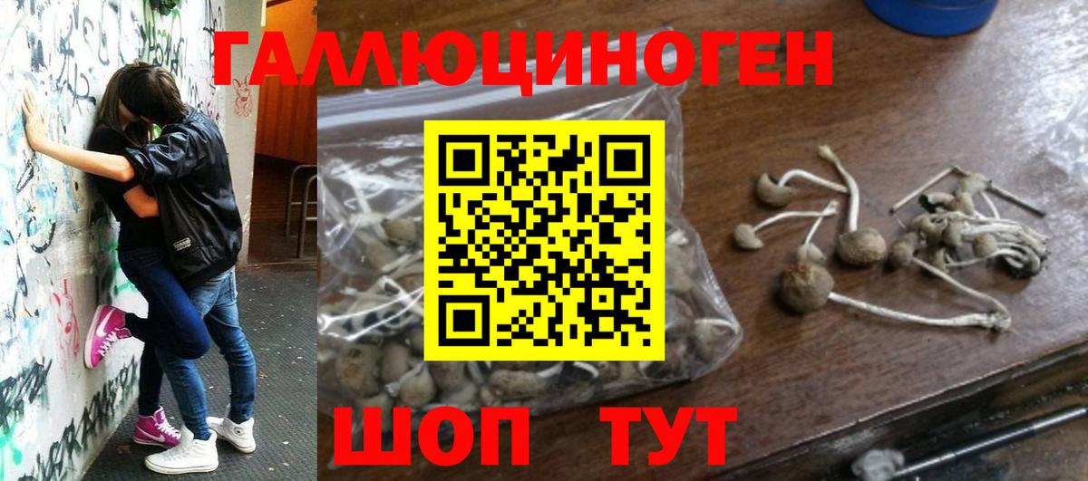 Галлюциногенные грибы Psilocybe  Псилоцибиновые грибы Psilocybe  даркнет сайт  Ртищево  Вход с VPN 